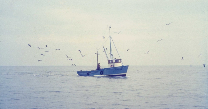 London Trawler LO208
